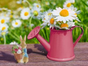 Beatrix Potter Collectie